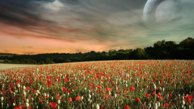 北京日报点名批评“苏超”过度娱乐化的动机是什么？